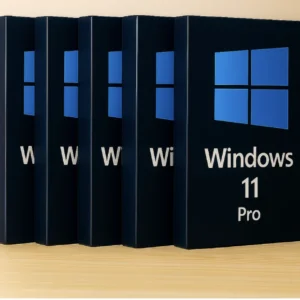 5X Windows 11 Pro