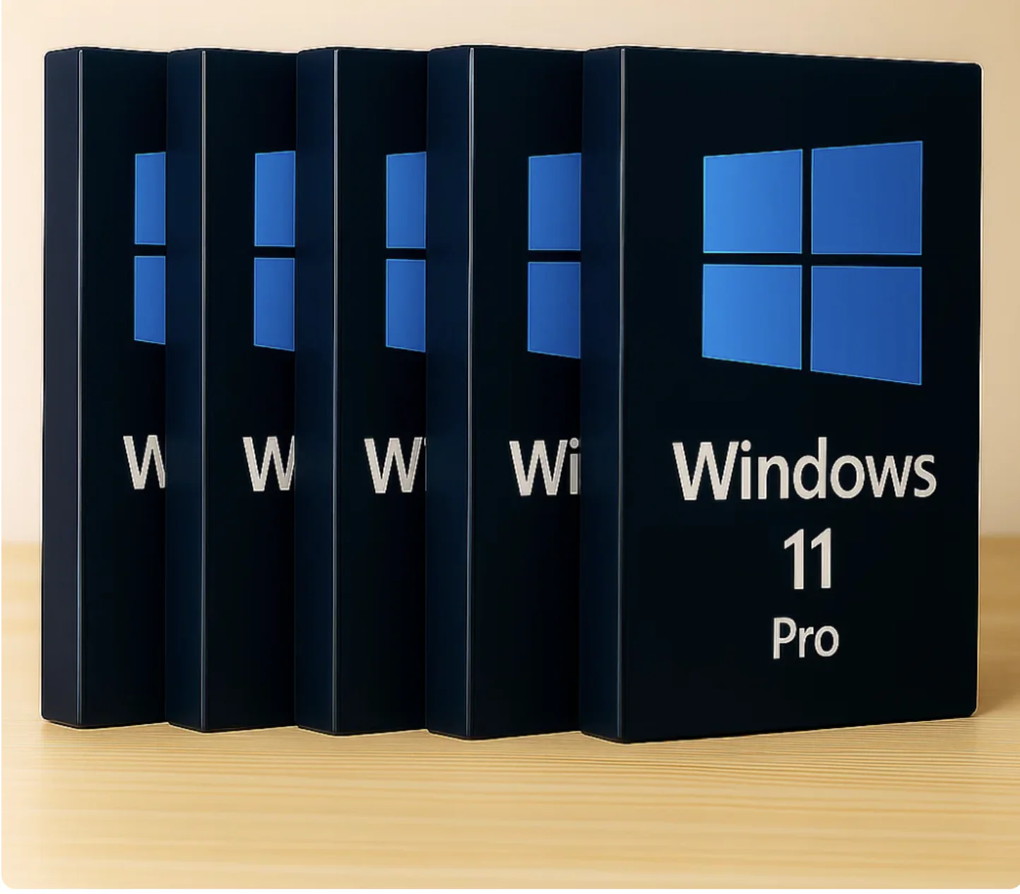5X Windows 11 Pro